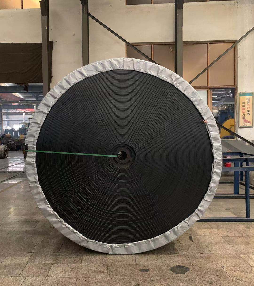 环形平皮带实物成品
